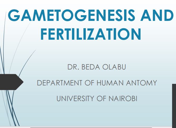 No preview available